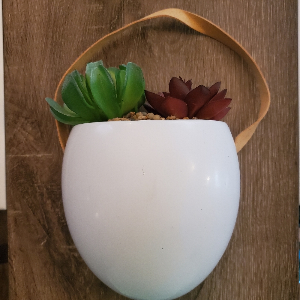 Faux Succulent Hanging Planter